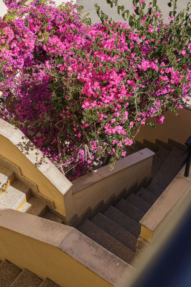 2 soverom Leilighet til salgs i Andratx med svømmebasseng - € 795 000 (Ref: 9006019)