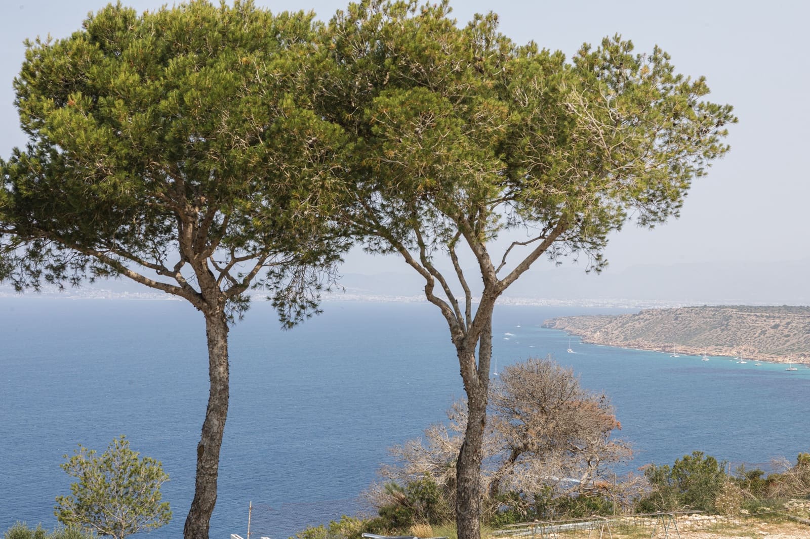 5 soveværelse Byhus til salg i Llucmajor med swimmingpool - € 3.875.000 (Ref: 9037466)