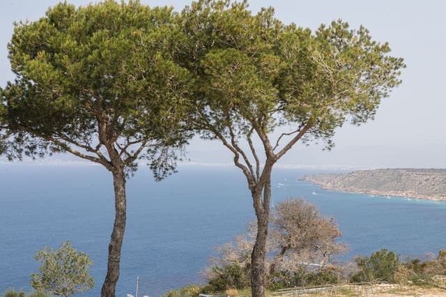 Casa de 5 habitaciones en Badia Gran, Llucmajor en venta con piscina - 3.875.000 € (Ref: 9037466)