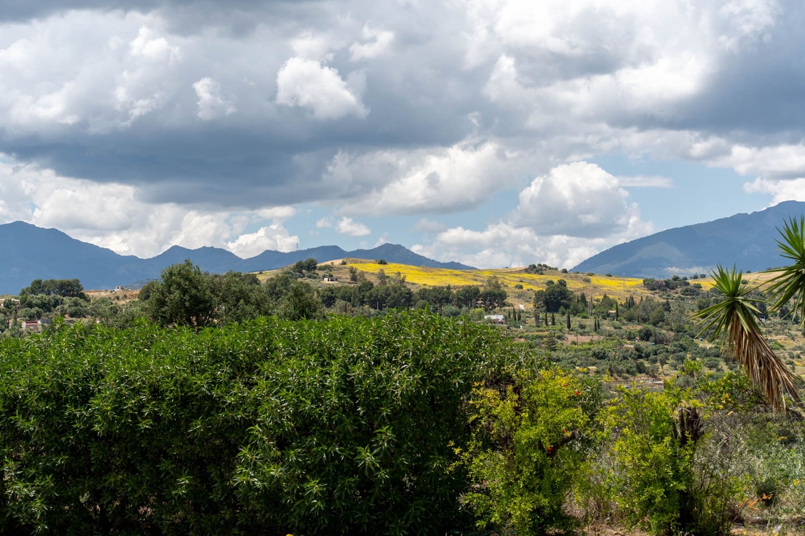 4 slaapkamer Huis te koop in Pizarra met zwembad - € 450.000 (Ref: 9049651)