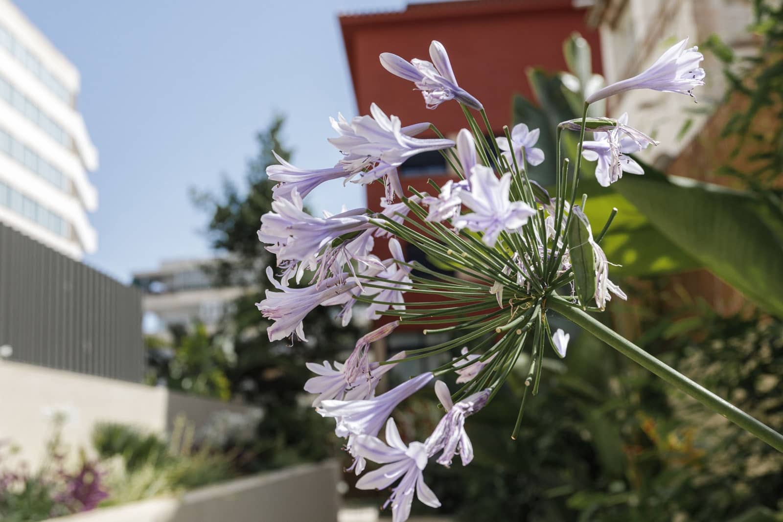 2 camera da letto Appartamento in vendita in Palma de Mallorca - 720.000 € (Rif: 9075670)