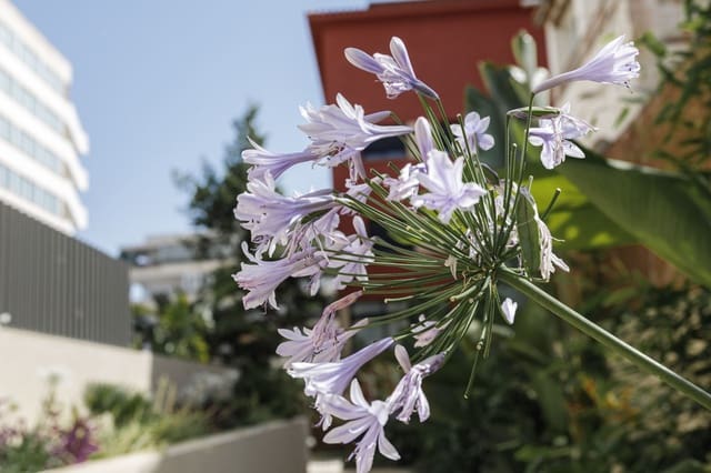 2 camera da letto Appartamento in vendita in Son Armadans, Palma de Mallorca - 720.000 € (Rif: 9075670)