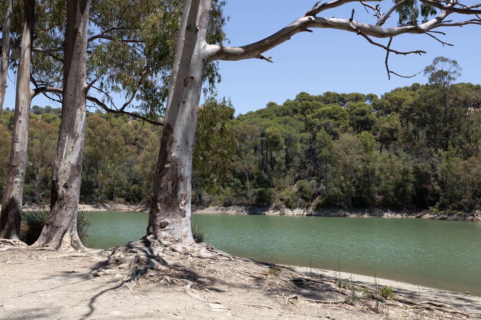 3 makuuhuone Huoneisto myytävänä paikassa Marbella mukana uima-altaan - 2 890 000 € (Ref: 9077693)