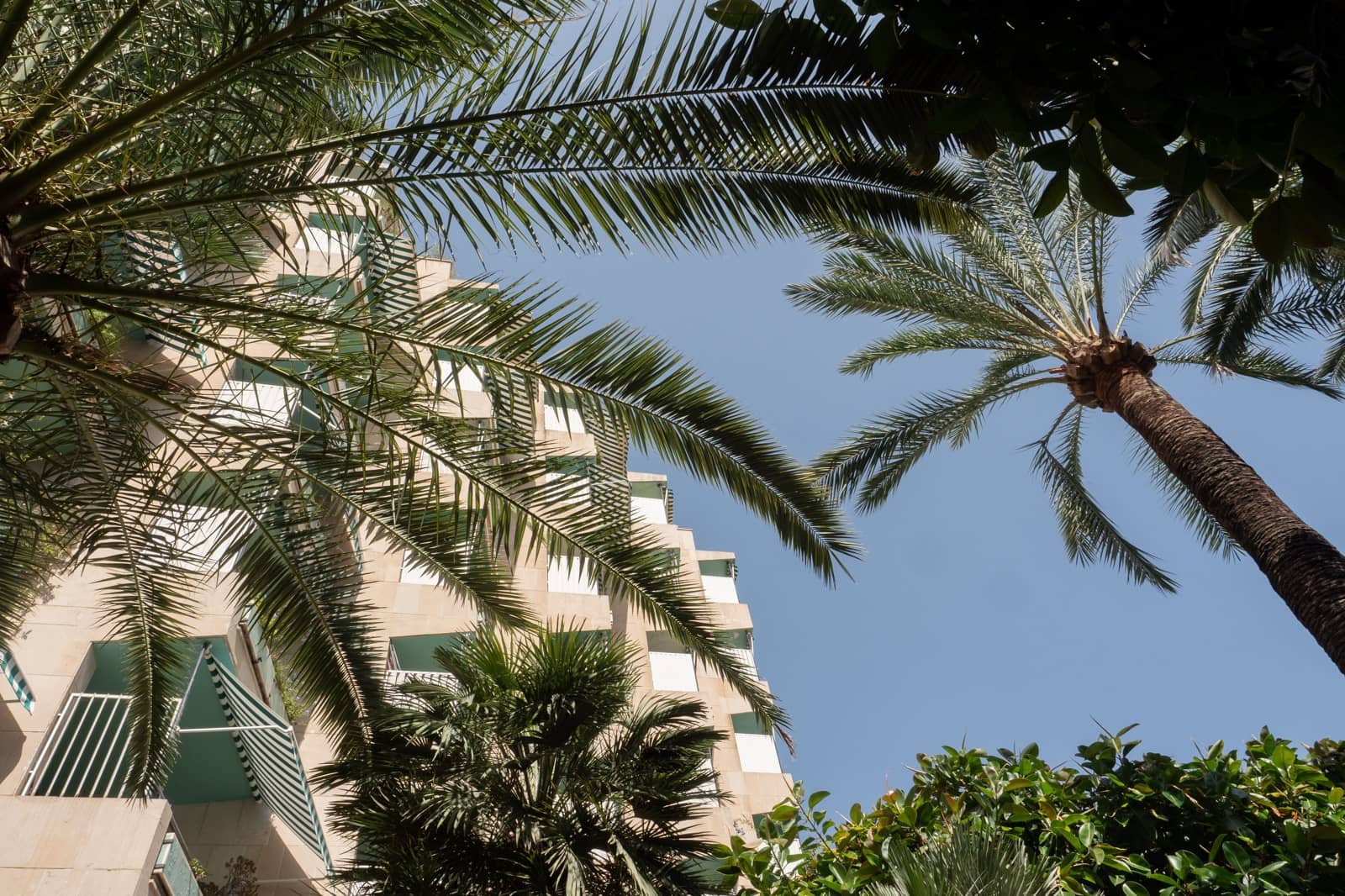 2 sovrum Lägenhet till salu i Palma de Mallorca med pool - 1 395 000 € (Ref: 9088221)