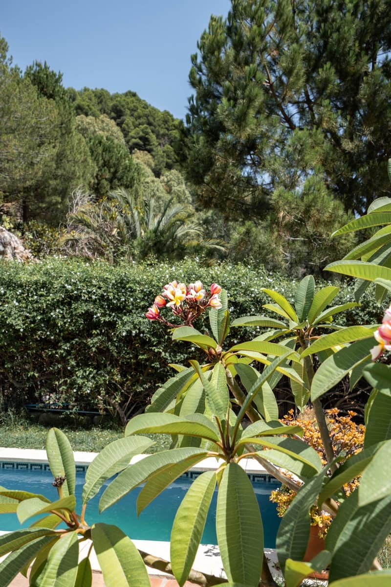 2 soveværelse Byhus til salg i Istan med swimmingpool - € 699.000 (Ref: 9100243)