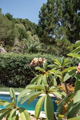 2 sovrum Hus till salu i Istán med pool - 699 000 € (Ref: 9100243)