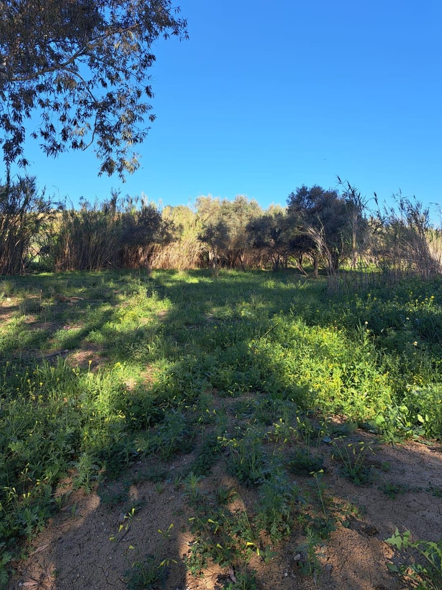 Dom na sprzedaż w Cartama - 70 000 € (Ref: 9106151)