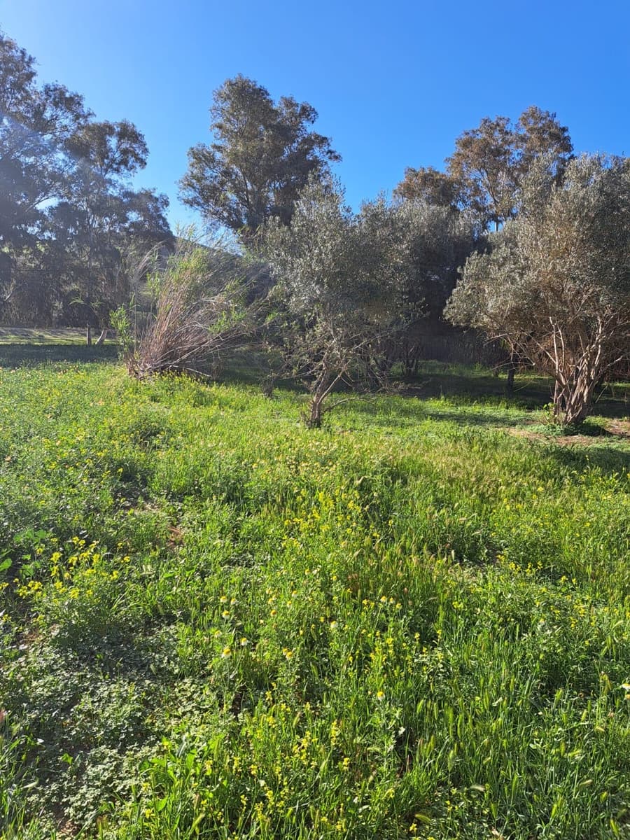 Dom na sprzedaż w Cartama - 70 000 € (Ref: 9106151)