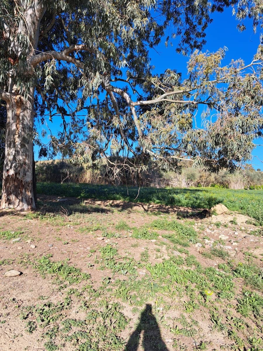 Dom na sprzedaż w Cartama - 70 000 € (Ref: 9106151)