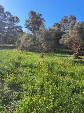 Casa em Banda para venda em Cártama - 70 000 € (Ref: 9106151)