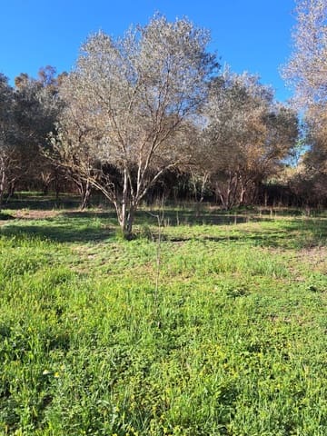 Casa em Banda para venda em Cártama - 70 000 € (Ref: 9106151)