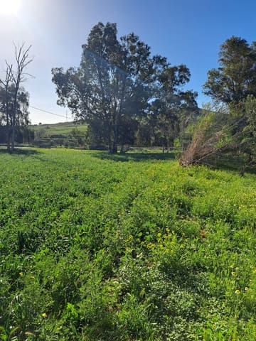 Casa em Banda para venda em Cártama - 70 000 € (Ref: 9106151)