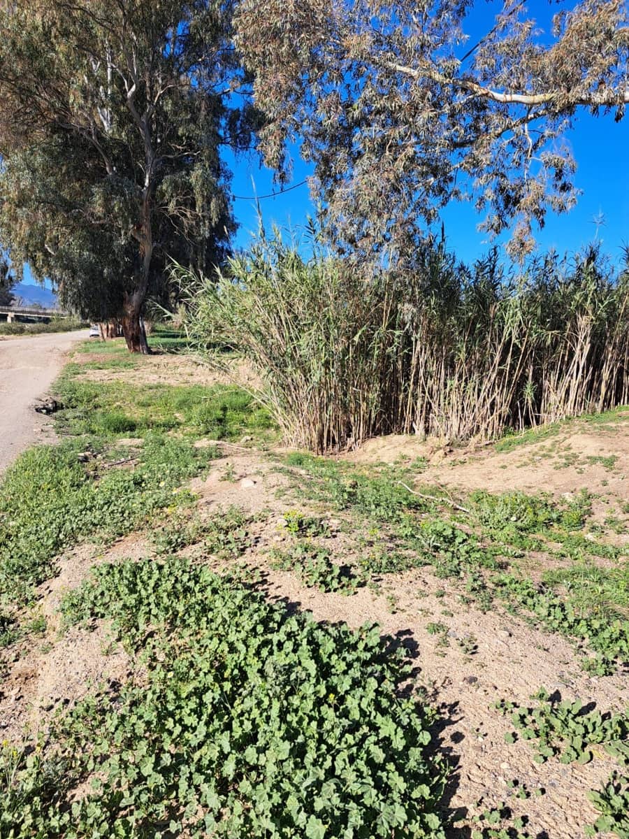 Dom na sprzedaż w Cartama - 70 000 € (Ref: 9106151)