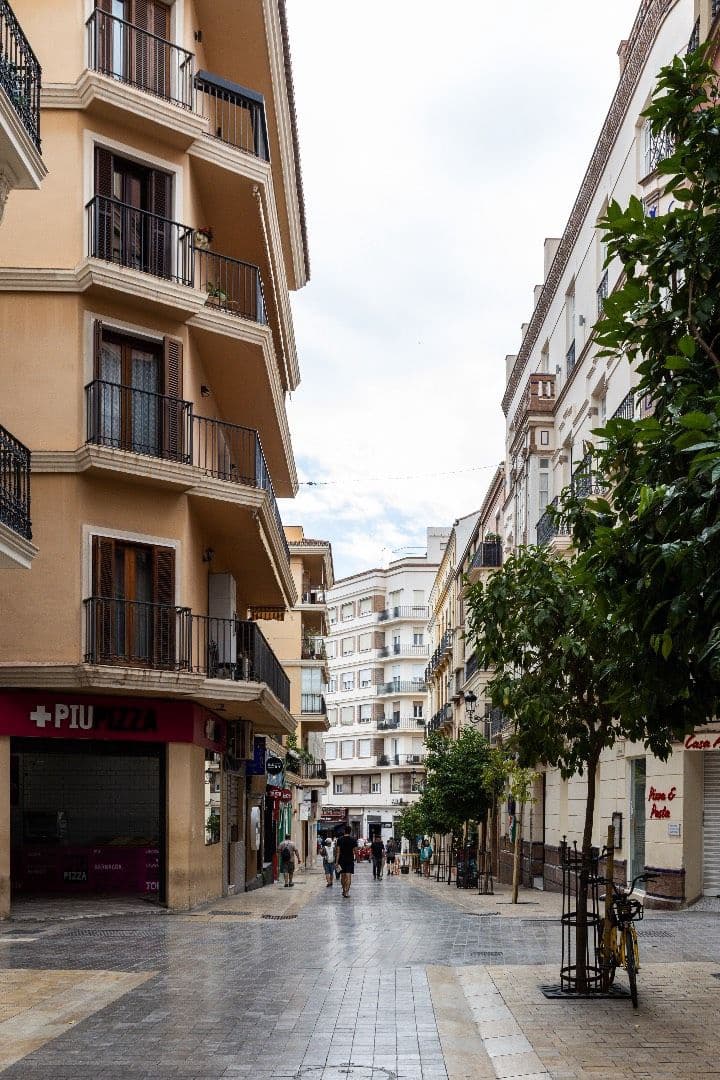 1 soveværelse Lejlighed til salg i Malaga by - € 485.000 (Ref: 9113081)