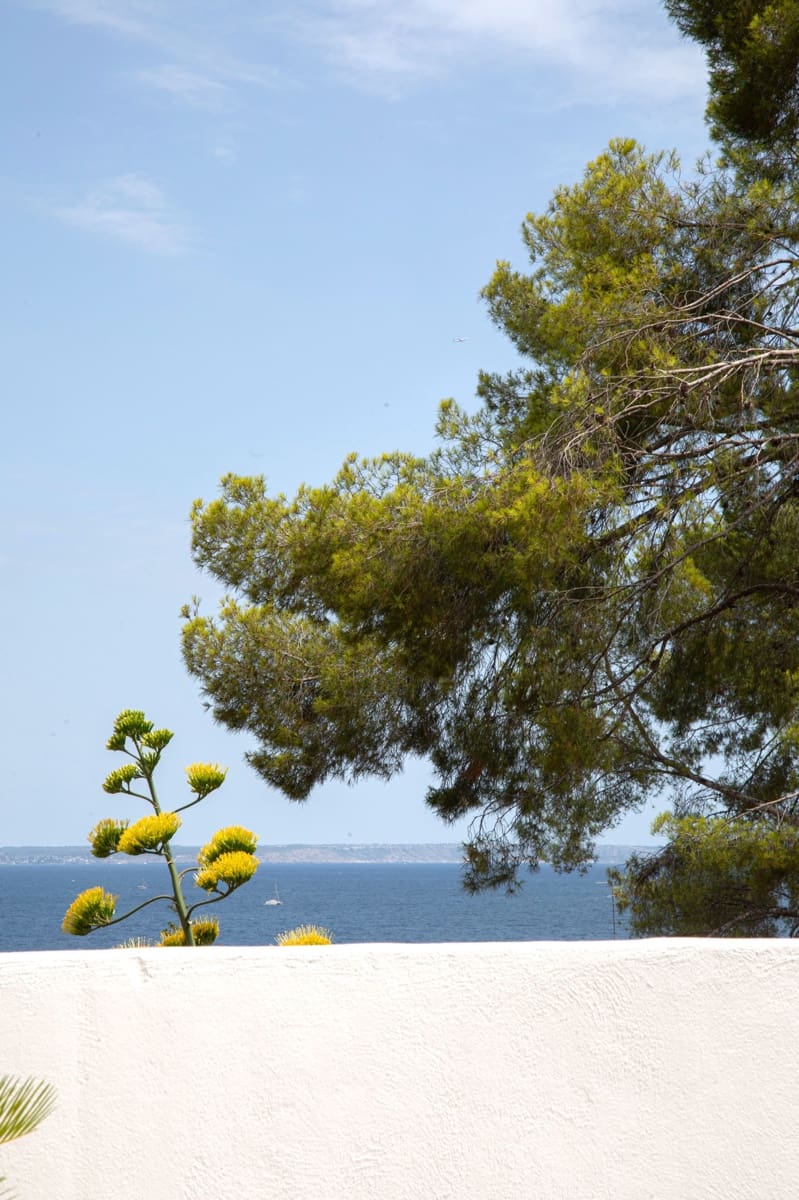 3 soverom Leilighet til salgs i Calvia - € 1 500 000 (Ref: 9115121)