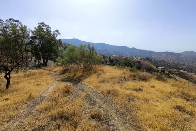 Dom na sprzedaż w Pinares de San Antón, Miasto Málaga - 990 000 € (Ref: 9115657)