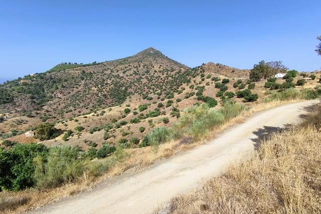 Dom na sprzedaż w Pinares de San Antón, Miasto Málaga - 990 000 € (Ref: 9115657)