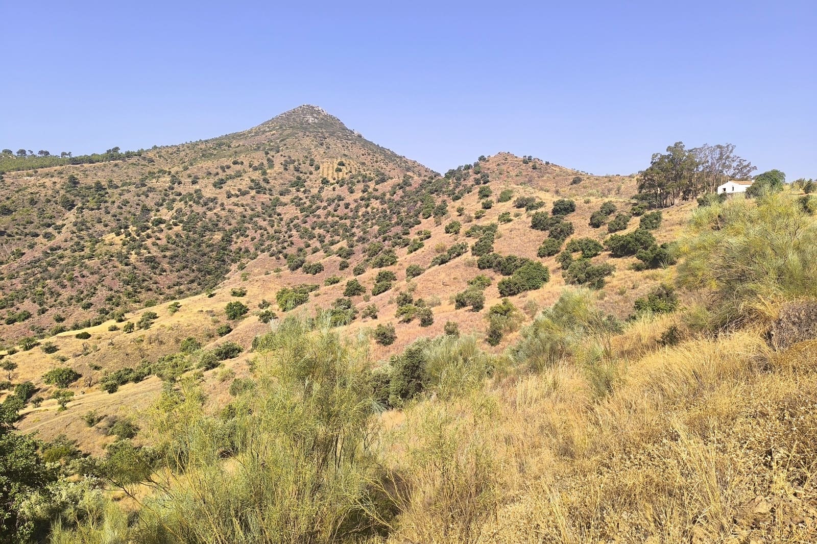 Hus til salgs i Malaga by - € 990 000 (Ref: 9115657)