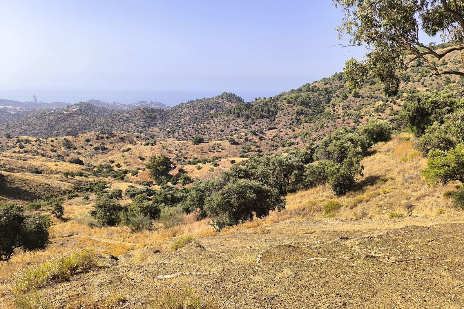 Hus til salgs i Malaga by - € 990 000 (Ref: 9115657)