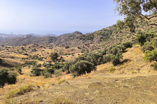 Dom na sprzedaż w Pinares de San Antón, Miasto Málaga - 990 000 € (Ref: 9115657)