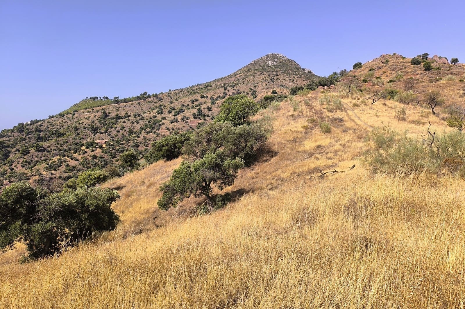 Hus til salgs i Malaga by - € 990 000 (Ref: 9115657)