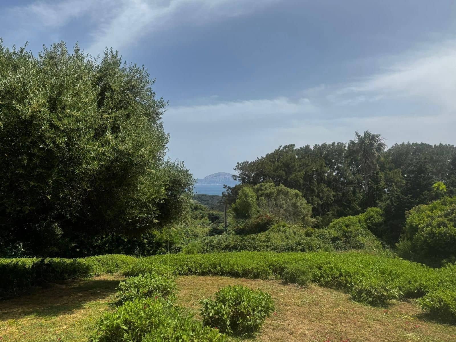 Byggegrund til salg i Tarifa - € 580.000 (Ref: 9131709)