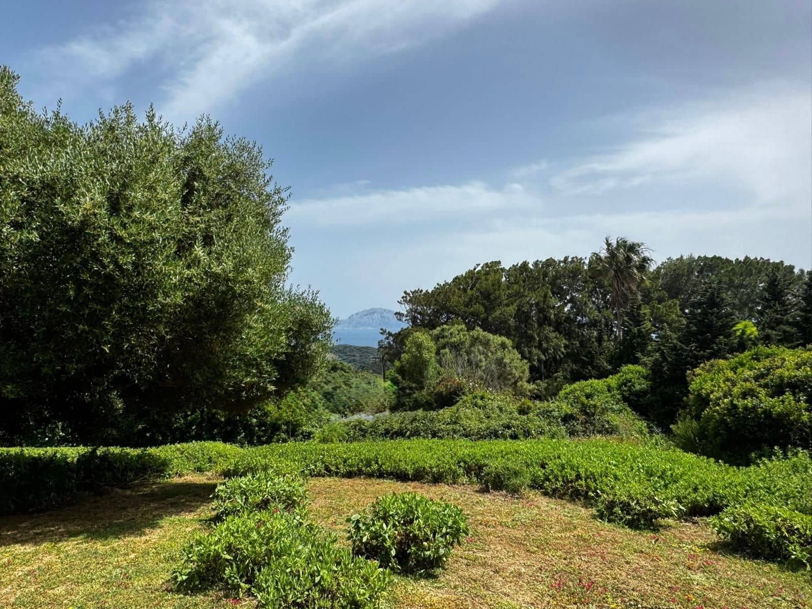 Byggegrund til salg i Tarifa - € 580.000 (Ref: 9131709)