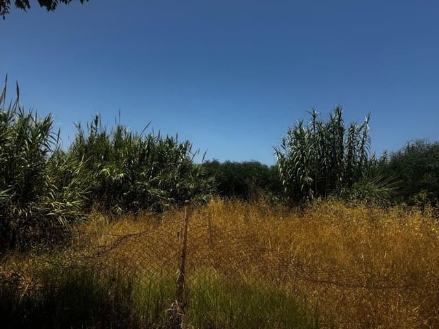 Byhus til salg i La Línea de la Concepción - € 2.928.100 (Ref: 9146580)