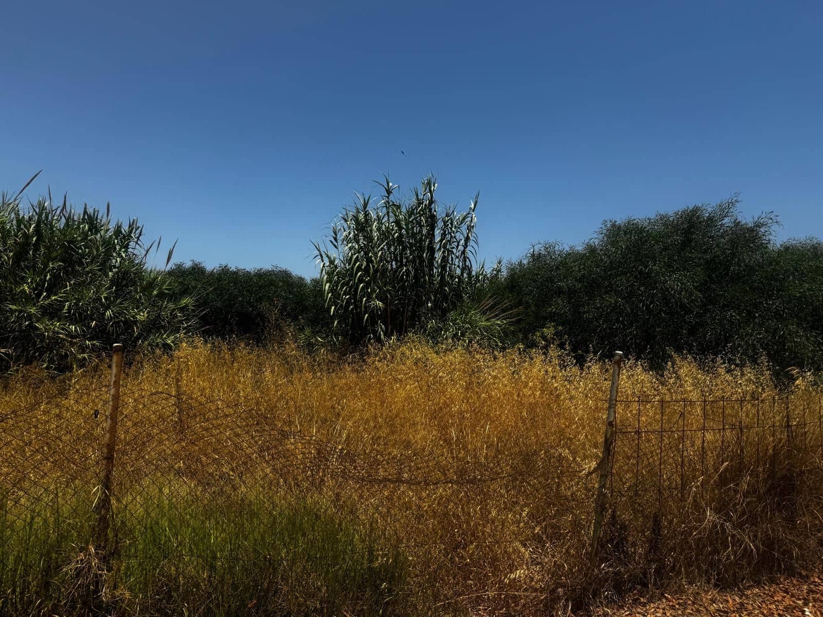 Hus til salgs i La Linea de la Concepcion - € 2 928 100 (Ref: 9146580)