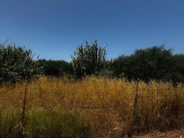 Byhus til salg i La Línea de la Concepción - € 2.928.100 (Ref: 9146580)