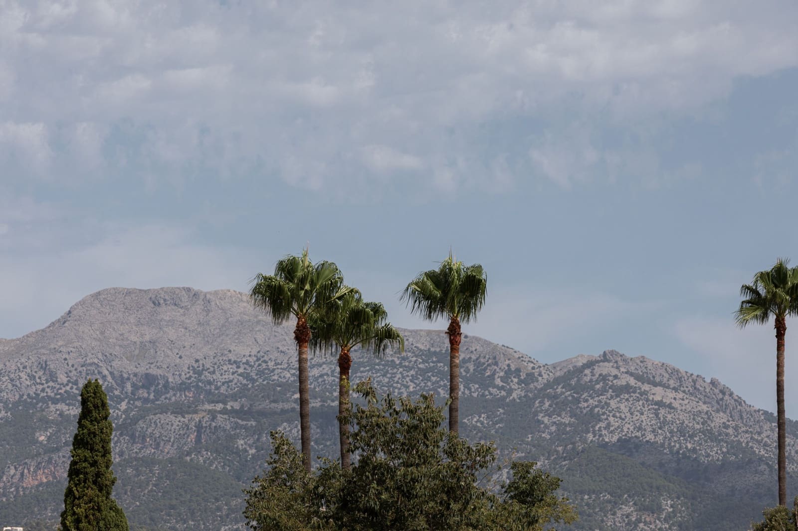 5 soverom Hus til salgs i Inca med svømmebasseng - € 1 650 000 (Ref: 9148110)