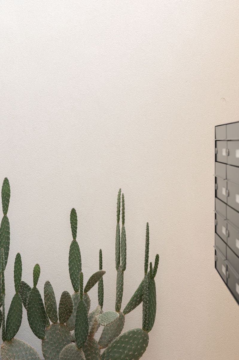 2 soveværelse Lejlighed til salg i Palma de Mallorca med swimmingpool - € 785.000 (Ref: 9164344)