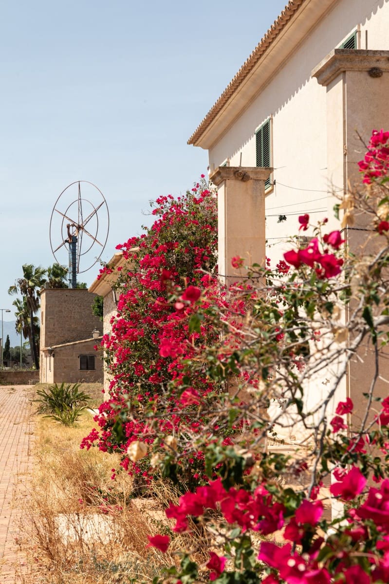 11 camera da letto Finca/Casa di Campagna in vendita in Palma de Mallorca - 2.388.000 € (Rif: 9172318)