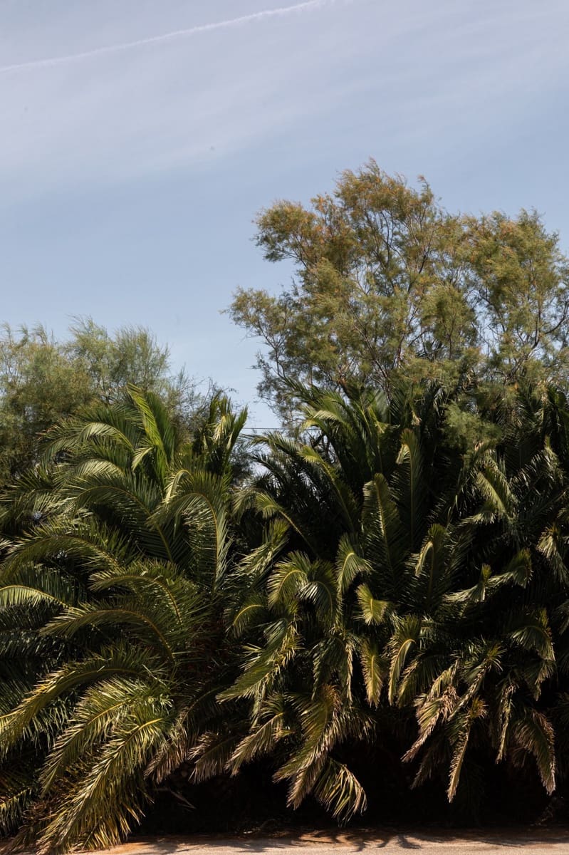 11 camera da letto Finca/Casa di Campagna in vendita in Palma de Mallorca - 2.388.000 € (Rif: 9172318)