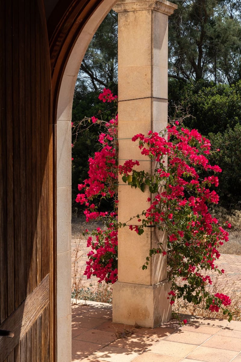 11 camera da letto Finca/Casa di Campagna in vendita in Palma de Mallorca - 2.388.000 € (Rif: 9172318)