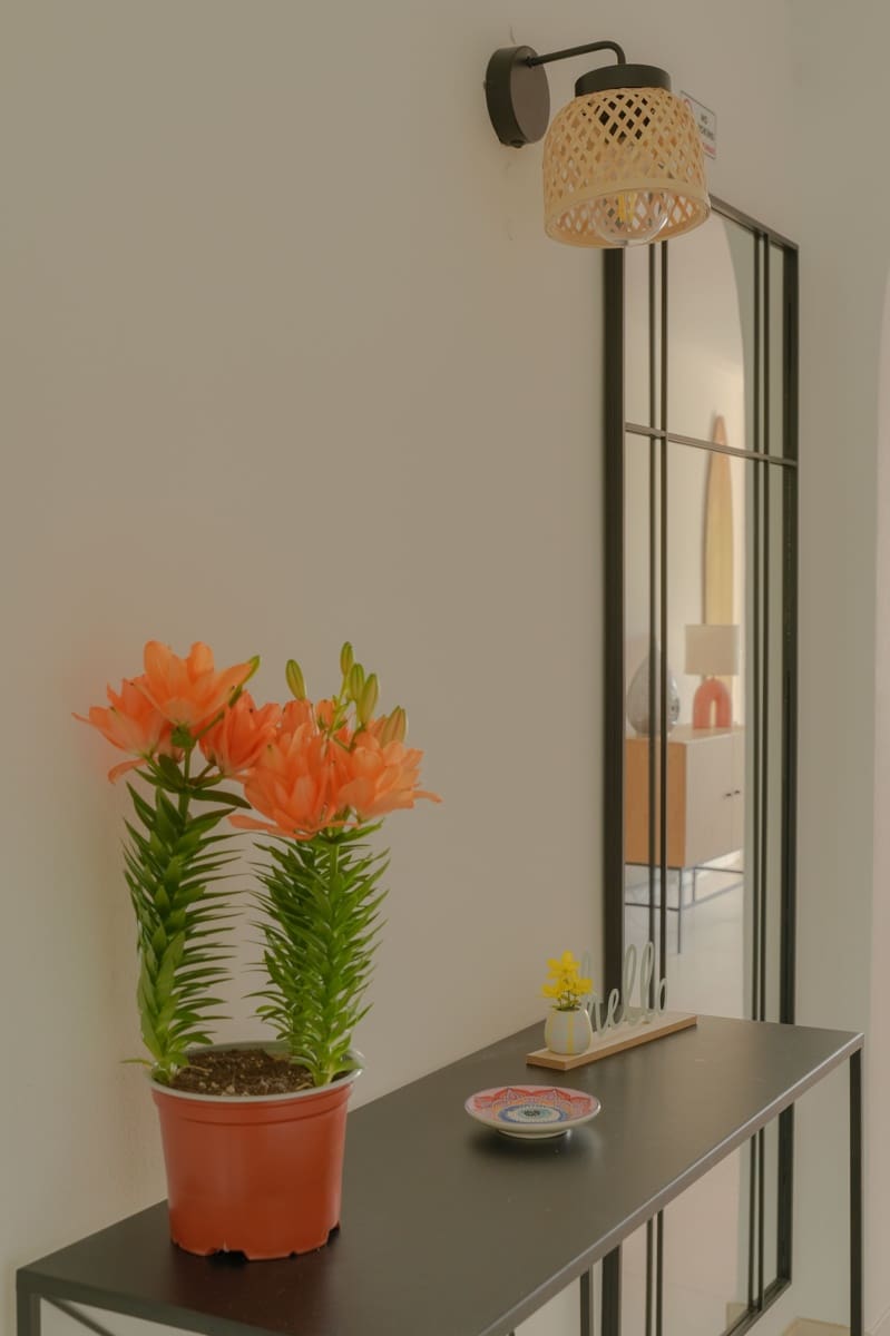 3 soveværelse Lejlighed til leje i Calvia med swimmingpool - € 2.600 (Ref: 9180400)