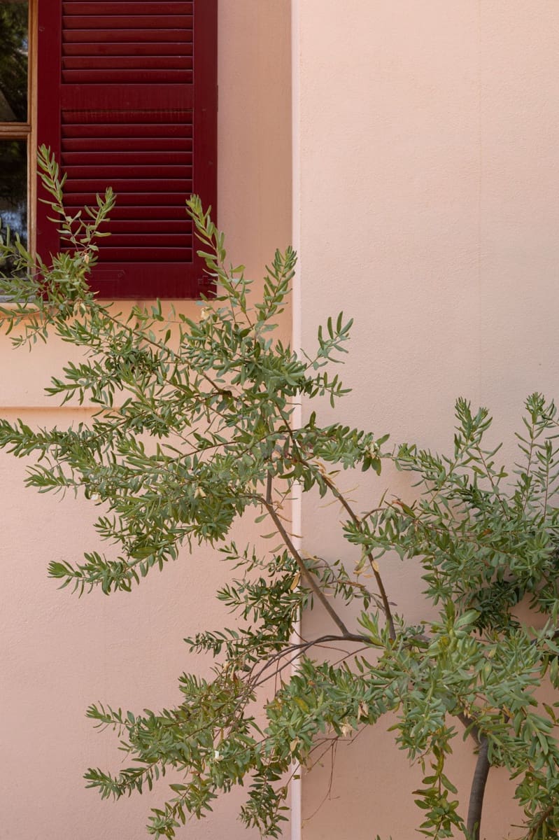 4 soverom Villa til salgs i Esporles - € 3 185 000 (Ref: 9181986)