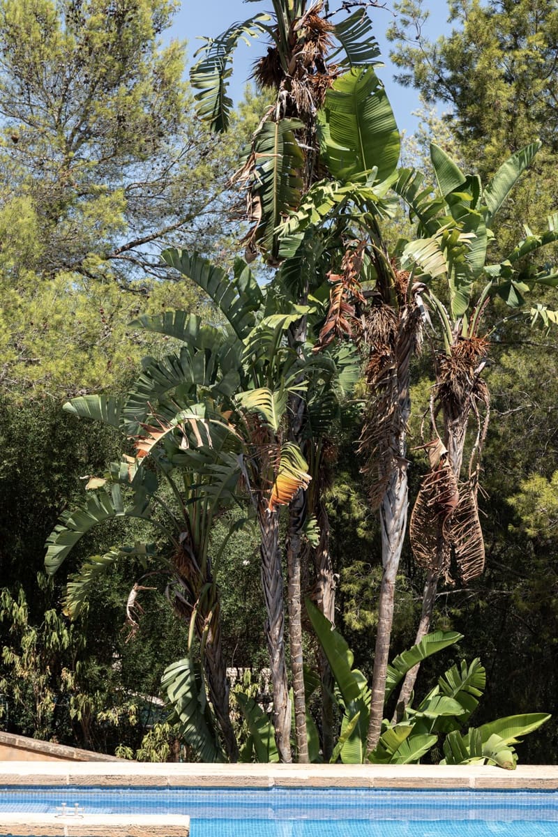 4 soverom Villa til salgs i Esporles - € 3 185 000 (Ref: 9181986)