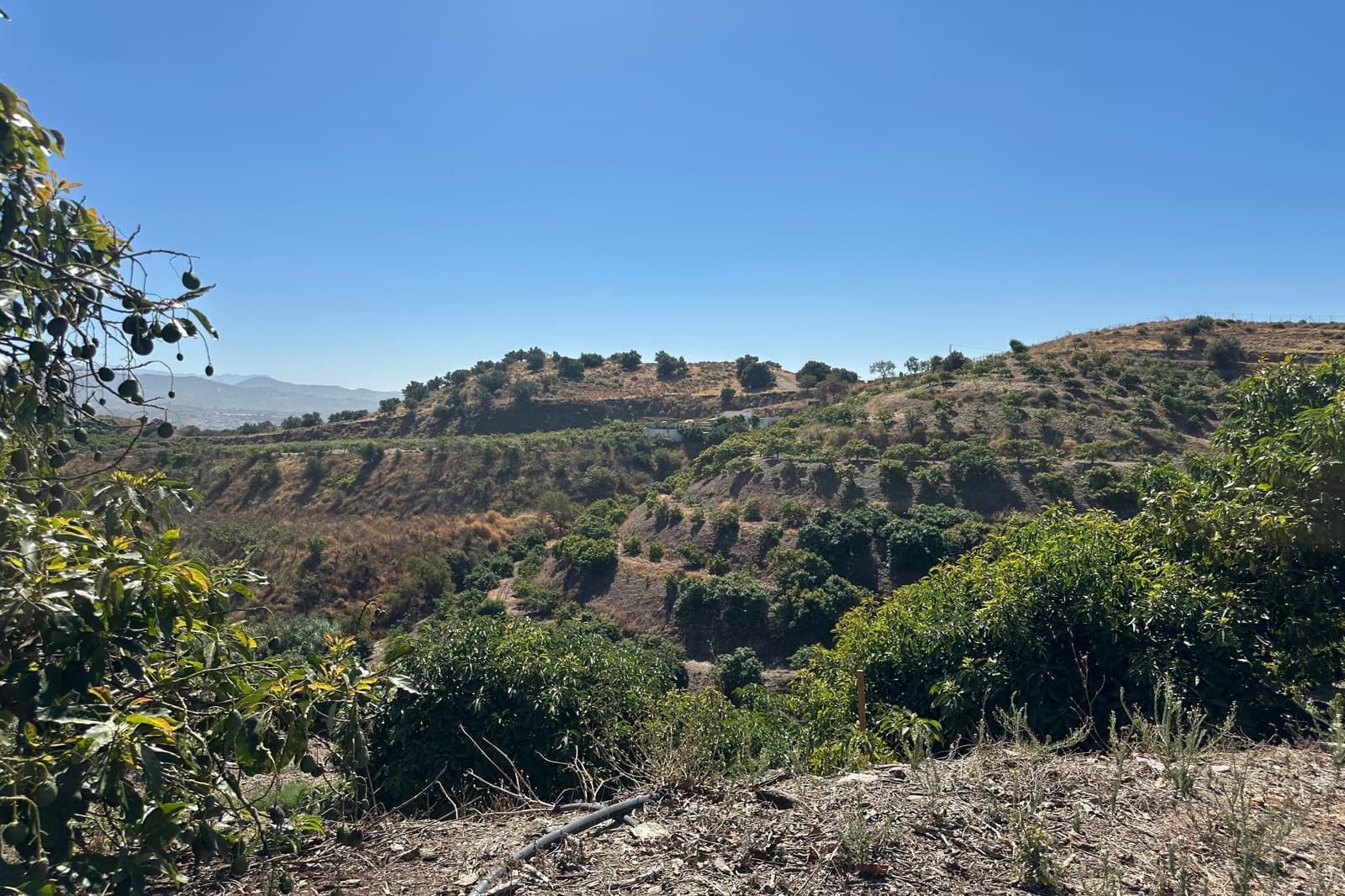 Finca/Landehus til salg i Velez-Malaga - € 2.900.000 (Ref: 9235742)