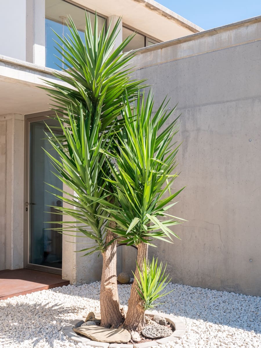 3 soveværelse Villa til salg i Tarifa - € 1.050.000 (Ref: 9238841)