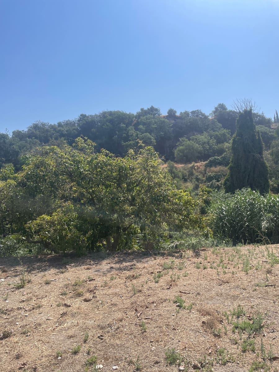 2 bedroom Finca/Country House for sale in Coin - € 320,000 (Ref: 9239432)