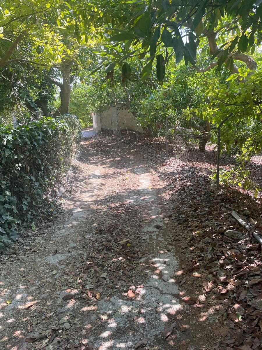 2 bedroom Finca/Country House for sale in Coin - € 320,000 (Ref: 9239432)