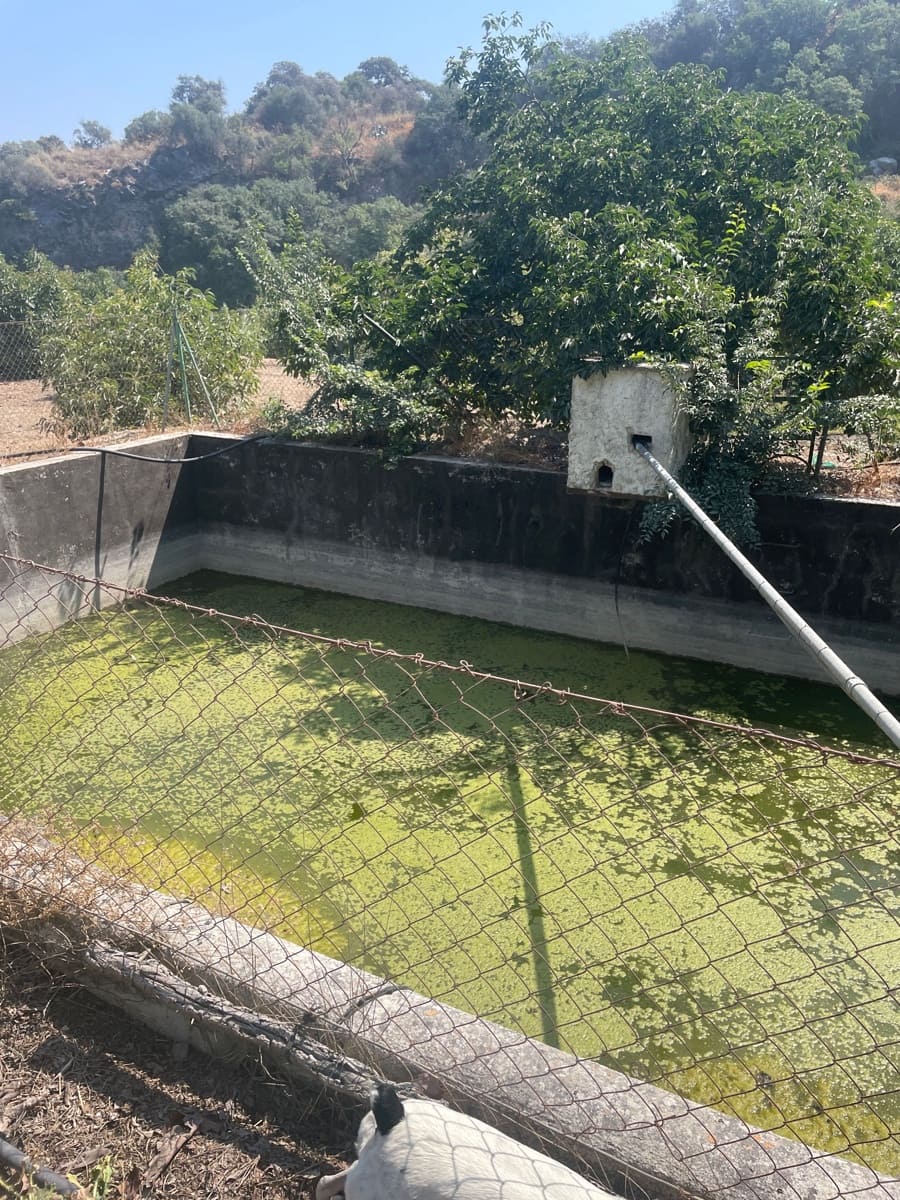 2 bedroom Finca/Country House for sale in Coin - € 320,000 (Ref: 9239432)