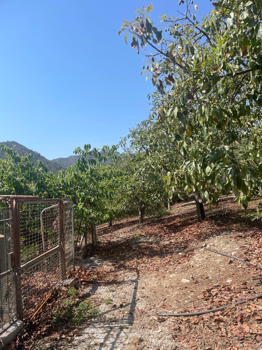 2 bedroom Finca/Country House for sale in Coin - € 320,000 (Ref: 9239432)