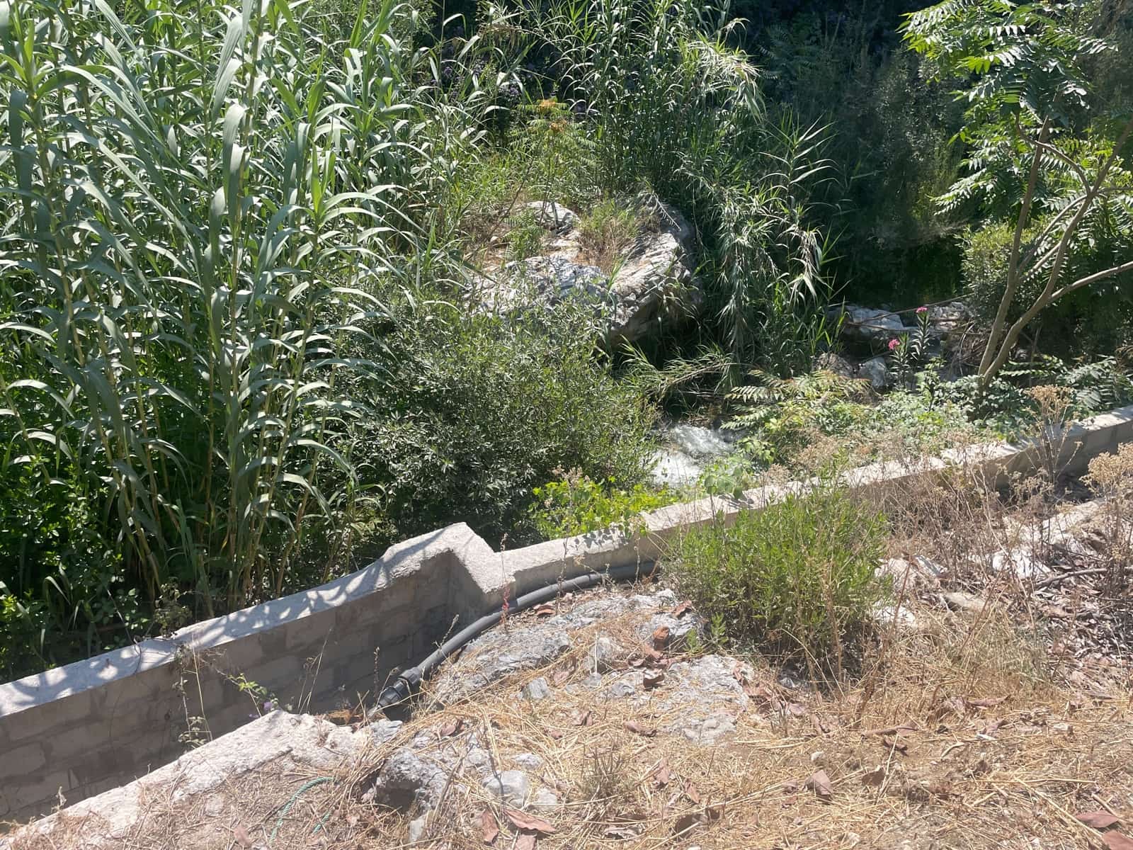 2 bedroom Finca/Country House for sale in Coin - € 320,000 (Ref: 9239432)