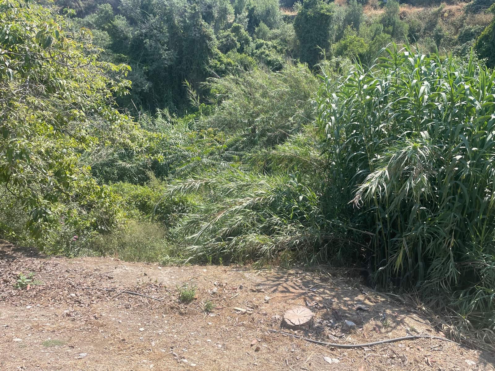 2 bedroom Finca/Country House for sale in Coin - € 320,000 (Ref: 9239432)