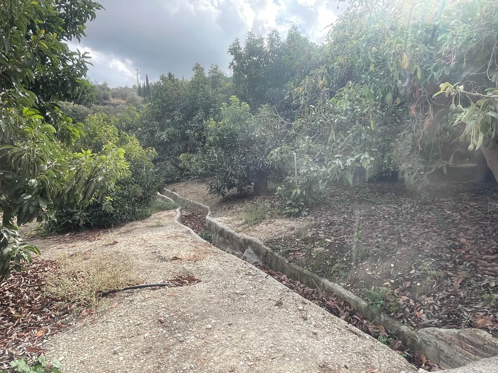 2 bedroom Finca/Country House for sale in Coin - € 320,000 (Ref: 9239432)