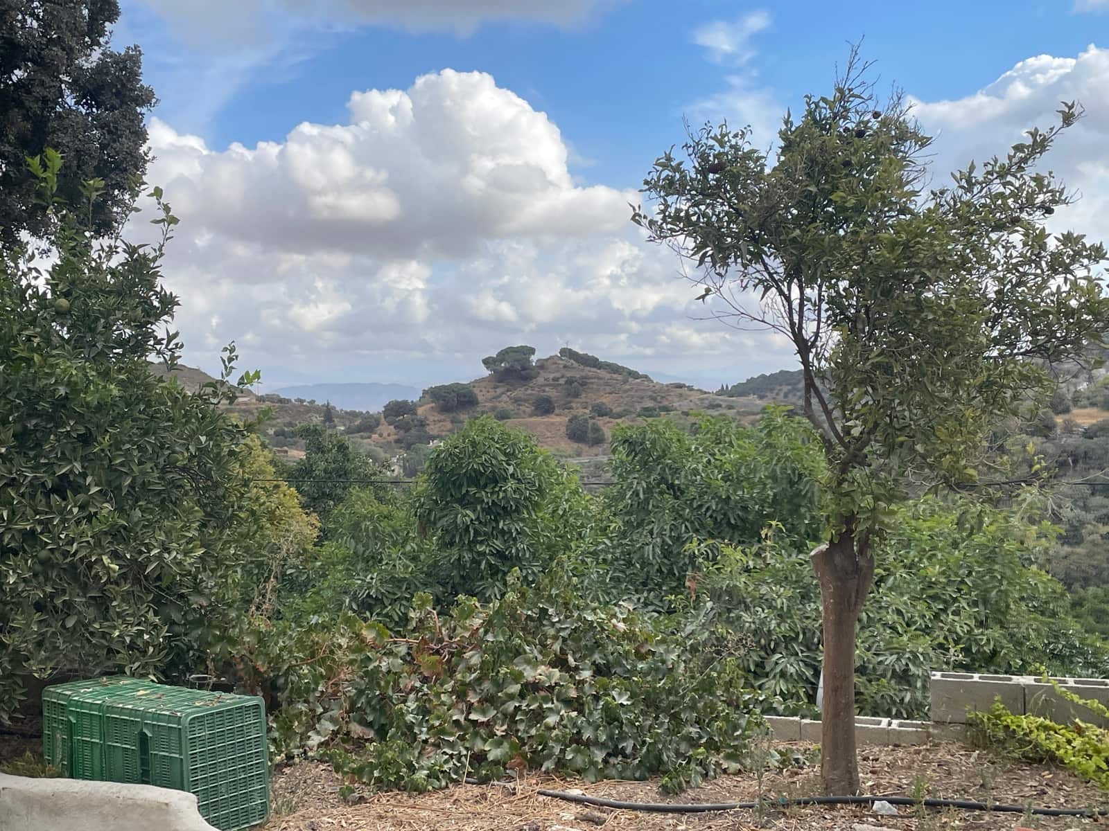 2 bedroom Finca/Country House for sale in Coin - € 320,000 (Ref: 9239432)