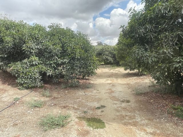 2 soverom Finca/Herregård til salgs i Coín - € 320 000 (Ref: 9239432)