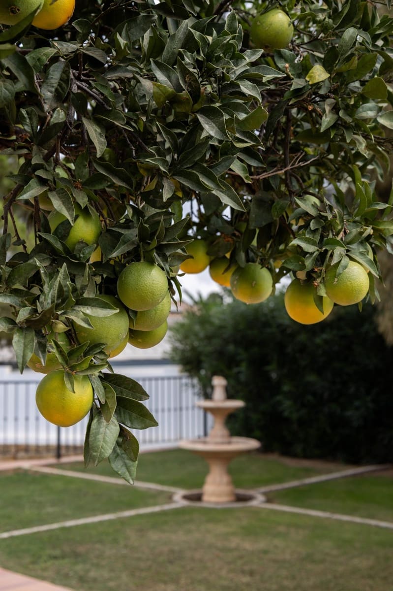 6 soverom Villa til salgs i Marbella med svømmebasseng garasje - € 3 995 950 (Ref: 9254265)